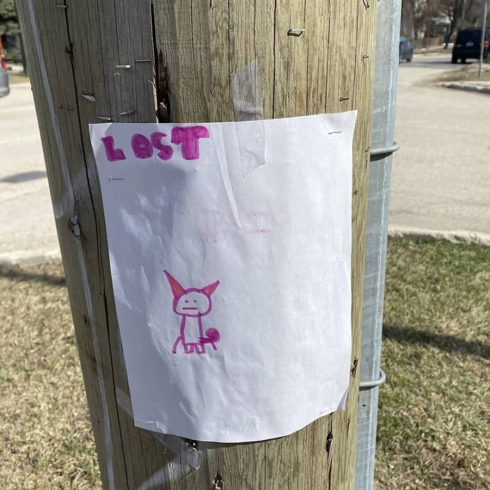 Deretan pengumuman kucing yang absurd ini bikin ngakak seharian